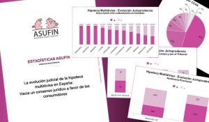 Asufin - Estadísticas - Hipoteca Multidivisa