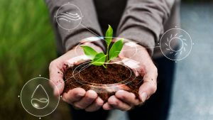 finanzas sostenibles