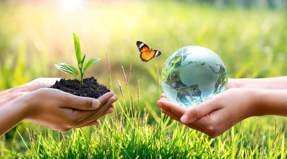 Responsable medioambiente
