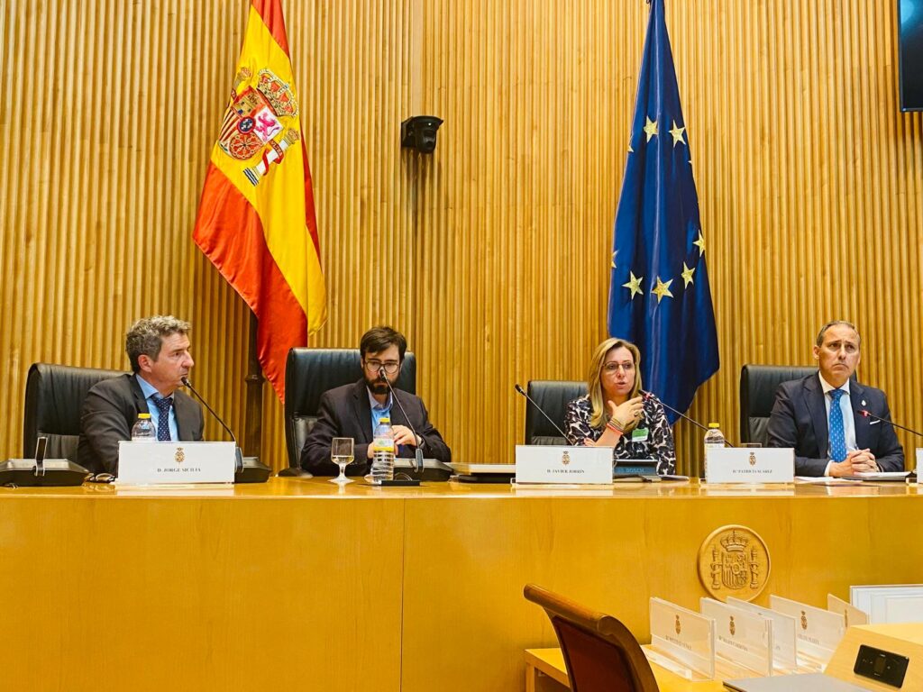 250605 JORNADA BANCA CONGRESO DIPUTADOS SUMAR
