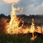Emergencia por incendios: los cambios en el ámbito asegurador a los que nos obliga el cambio climático