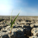 ASUFIN participó en la jornada Desregulación financiera de Revo y APIA