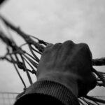 Derechos básicos de las víctimas y sus familias en accidentes graves