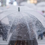 Temporal y siniestros: ¿Tu seguro cubre los daños?