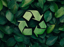 PROYECTO 2019 SUFIN ECO