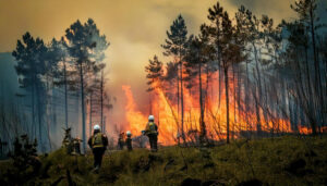 Incendios forestales