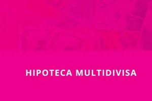 Multidivisa
