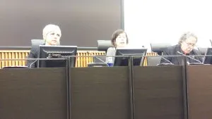 Congreso de los Diputados. Demandas Colectivas. ASUFIN. XNET. Patricia Suárez. Simona Levy.