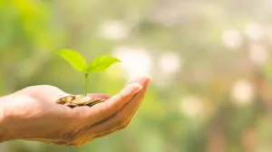 ¡Descubre 5 trucos que nos sabías para ahorrar!