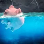 ¿Cómo saber si estoy en un fichero de morosos? Consulta ASNEF y RAI