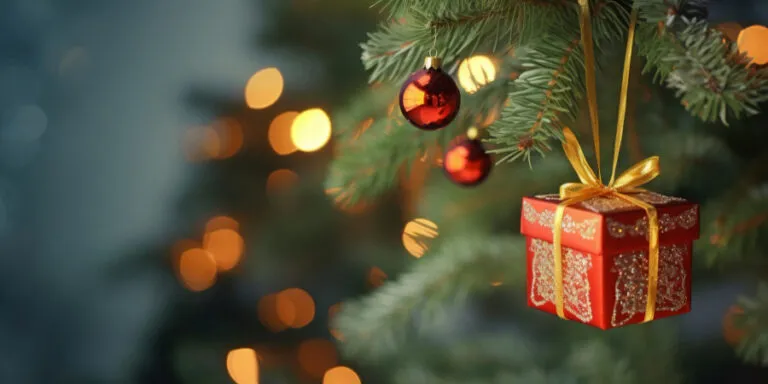 Noticias 11 Los 5 adornos navideños que puedes crear de cero en tu casa