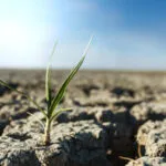 ASUFIN participó en la jornada Desregulación financiera de Revo y APIA