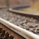 Nuevo accidente ferroviario en Gélida , apenas 48 horas después de ADAMUZ: la seguridad de las personas no puede esperar