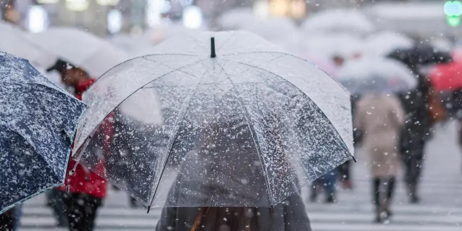 Temporal y siniestros: ¿Tu seguro cubre los daños?