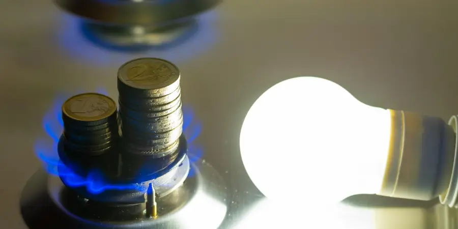 Endesa luz gas multa
